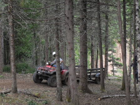 ©Englishman's Brook